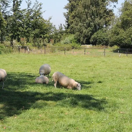 Ferienpark Residence Lichtenvoorde