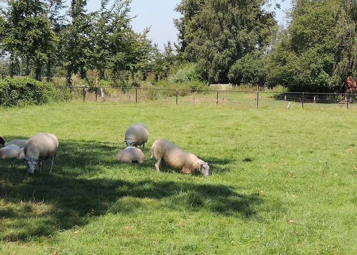 Semesterpark Topparken -